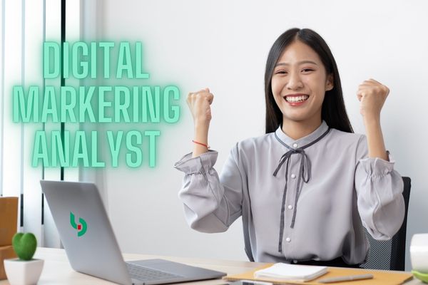 Digital Marketing Analyst